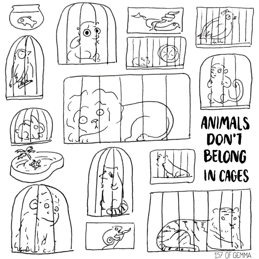 20160414_animals dont belong in cages.jpg
