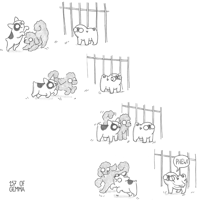 20170804_dog park_LR.jpg